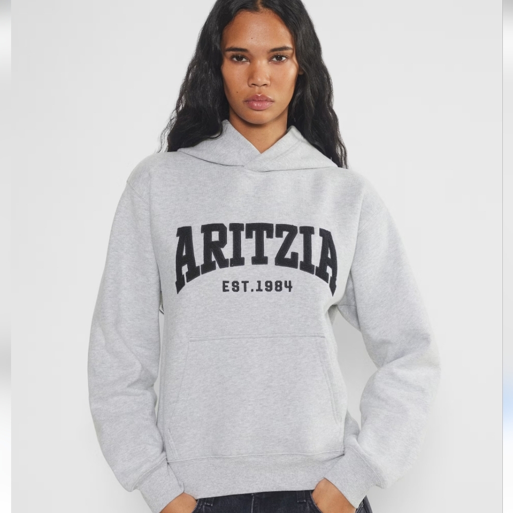 Aritzia Cozy Sweatfleece Perfect Hoodie Size L